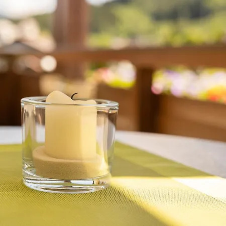 Nr 12 Haus Voglreiter شقة كابرون