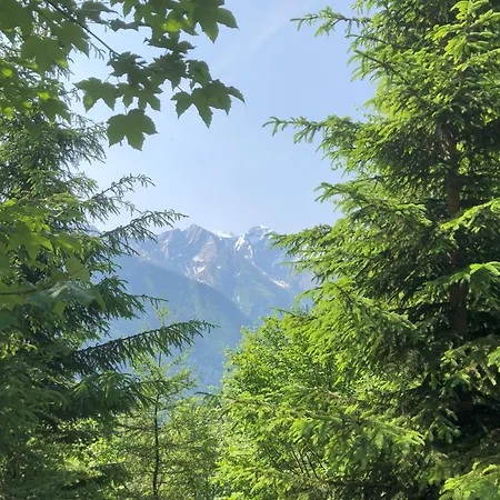 Apartment Nr 12 Haus Voglreiter