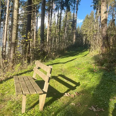Nr 12 Haus Voglreiter Apartment Kaprun