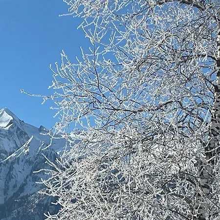 Nr 12 Haus Voglreiter Apartment *